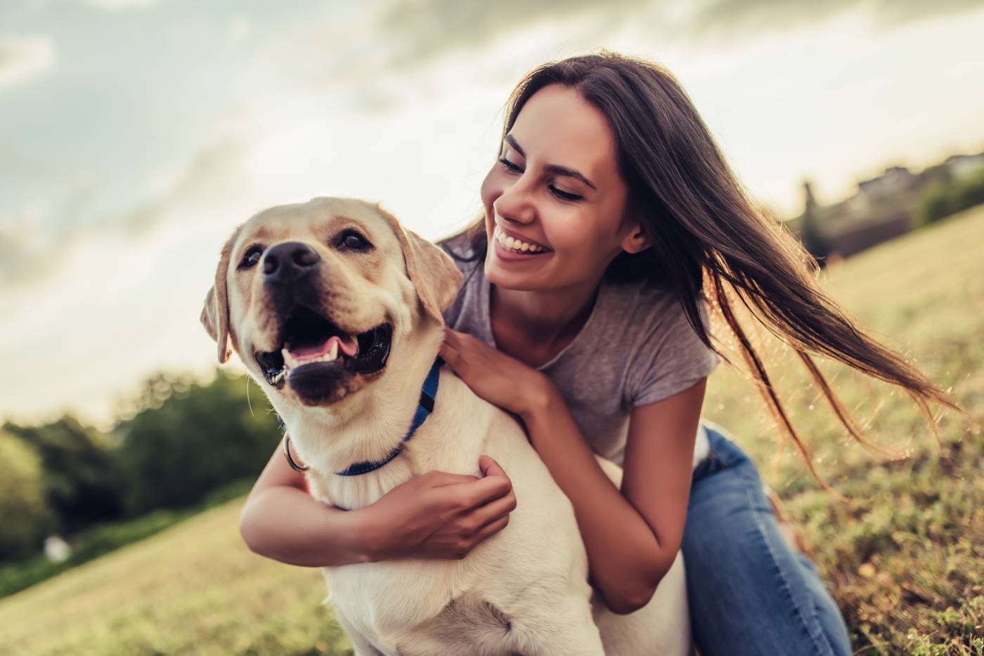 Labrador separation anxiety